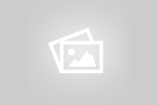 خدمات تکمیلی شرکت بازرگانی ترخیص کالا درنیکا